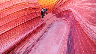 DSC_3747b.jpg