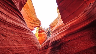 USA_9009.jpg
