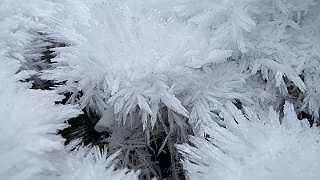 LUX_3729.jpg