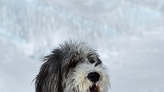 LUX_3447.jpg