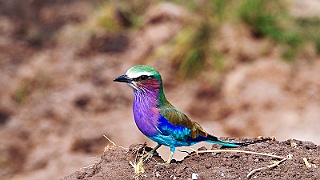 DSC_4097.jpg